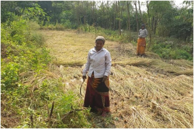 Santals of Bengal Go Back to Their Roots, Champion Agriculture that Nurtures Ecosystems