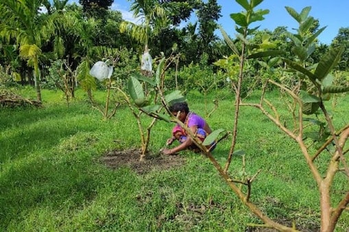 This Siliguri Man’s Backyard Is A Garden With A Difference