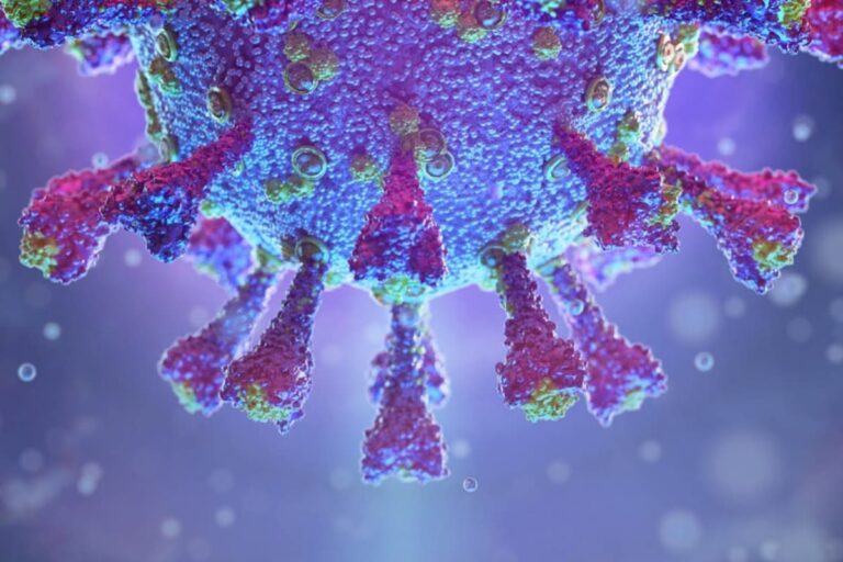 ‘Driver of a Third Covid Wave Will Be Human Behaviour More than That of the Virus’: Dr Kang