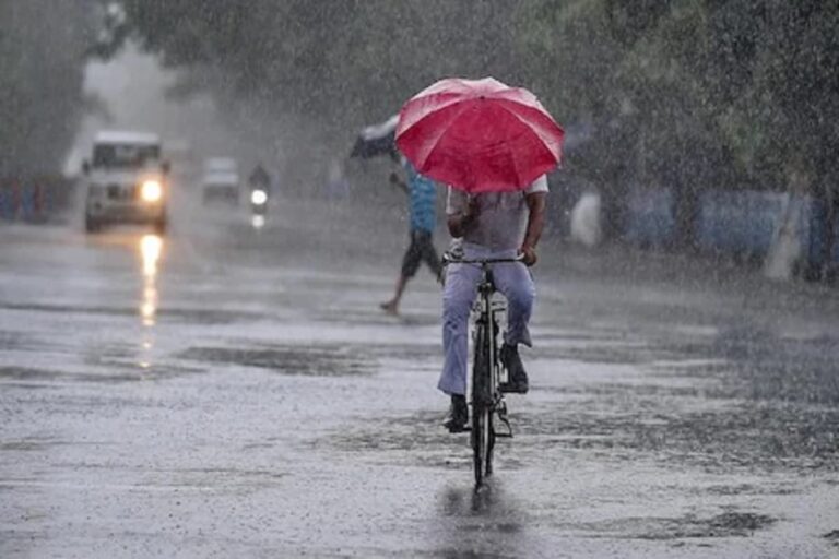 India Received 10% Excess Rainfall in June: IMD