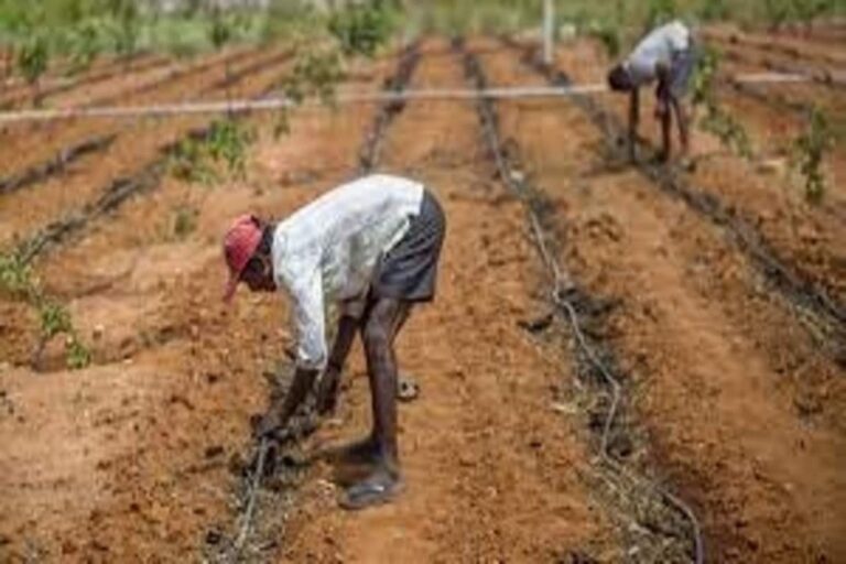 Telangana to Give Aid of Rs 10 lakhs to Marginalized Dalit Families, Spend Rs 40,000 Cr Towards Their Empowerment