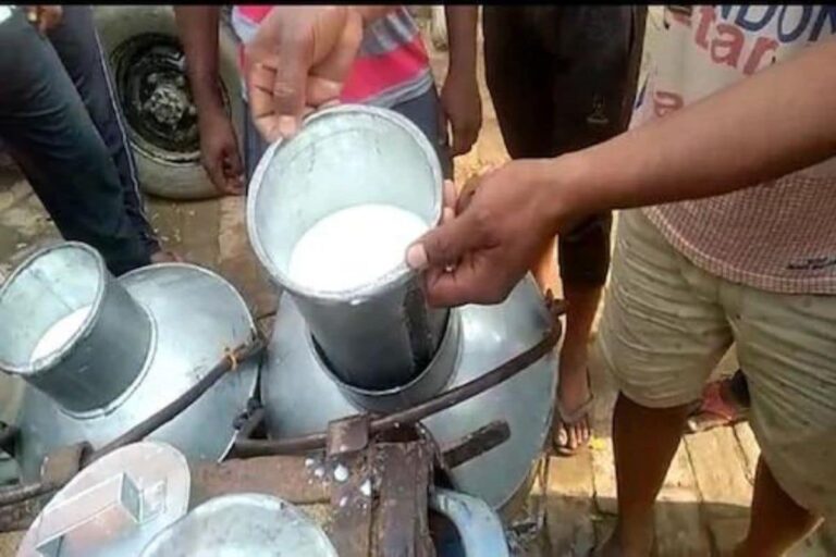 Milk Prices Hiked: Inflation-hit Dairy Farmers Say Too Little Too Late