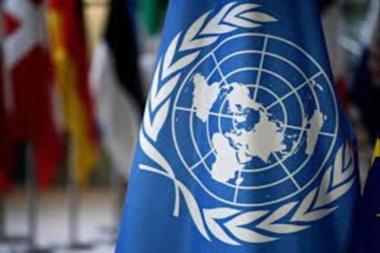 Don’t Return to the Era of ‘your Terrorists’ and ‘my Terrorists’: India Cautions UN