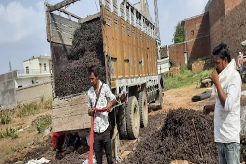 Illegal Herb Smuggling Racket Busted In MP’s Sheopur