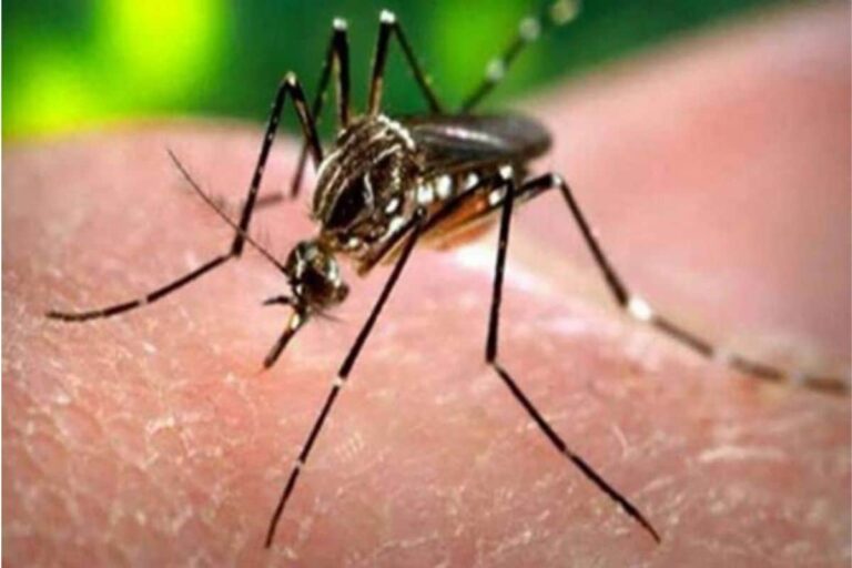 Five More Test Positive for Zika Virus in Kerala, State’s Total Cases Now at 28