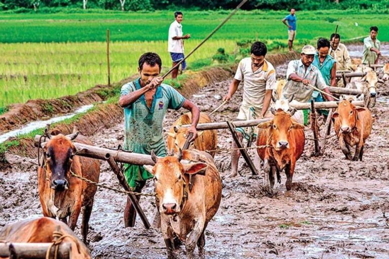 Rs 3,000 Cr Transferred to 42 Lakh Ineligible Farmers Under PM-KISAN Scheme, Centre Now Recovering Money