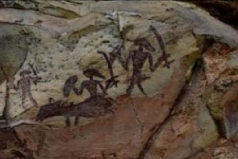 Buxwaha Forest has Pre-historic Rock Paintings, Some From Era when Fire was not Discovered: ASI