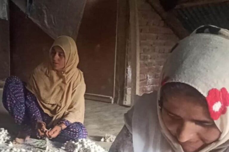 Kashmir Woman Sets Up Silk Worm Unit, Employs 10 More; Lauded by LG Manoj Sinha