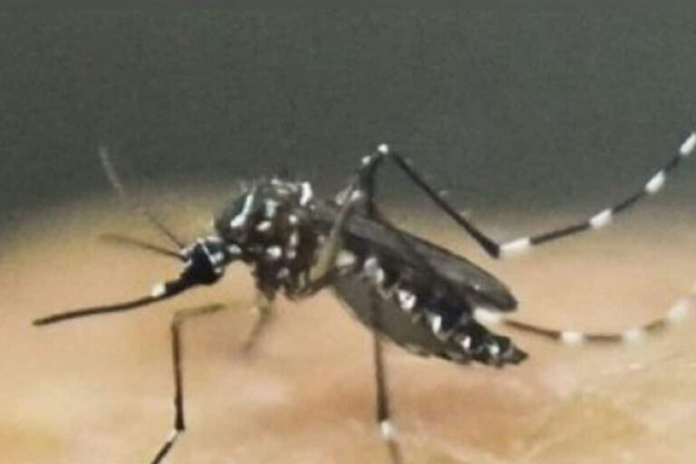 Two More Test Positive for Zika in Kerala; Total Reported Cases 48: Health Minister
