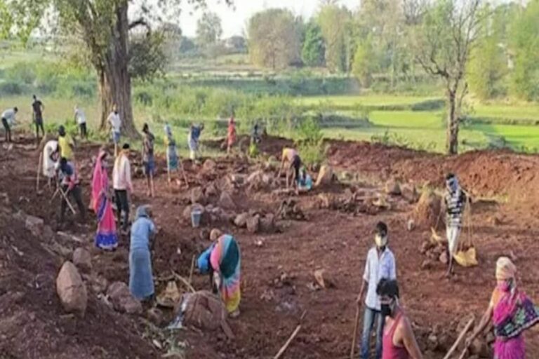 This Jharkhand Village Has Turned Itself Into MGNREGA Park