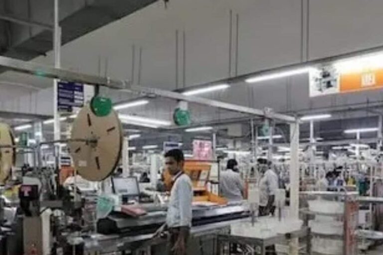 Govt’s Stimulus Package for Economic Revival ‘Inadequate’: Par Panel