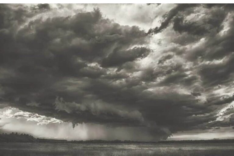 Moderate to Heavy Rain to Continue in Haryana as Monsoon Winds Remain Active: IMD