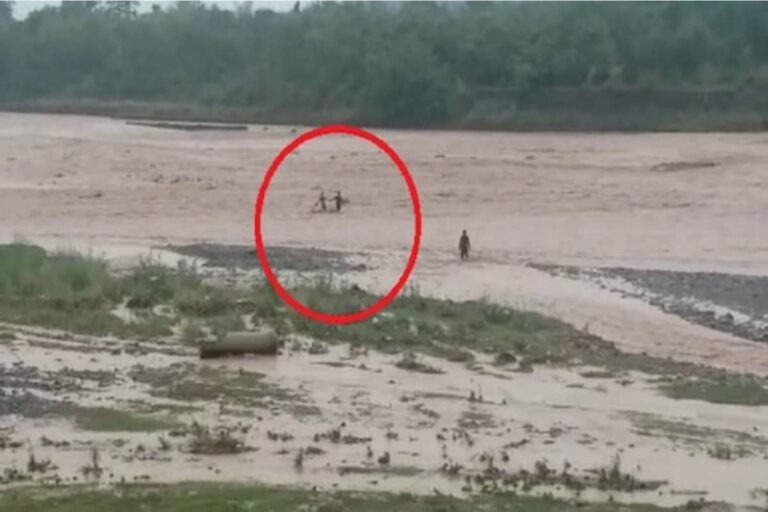 Children Trapped in Heavy Current of Ghaggar River in Panchkula Rescued by Locals