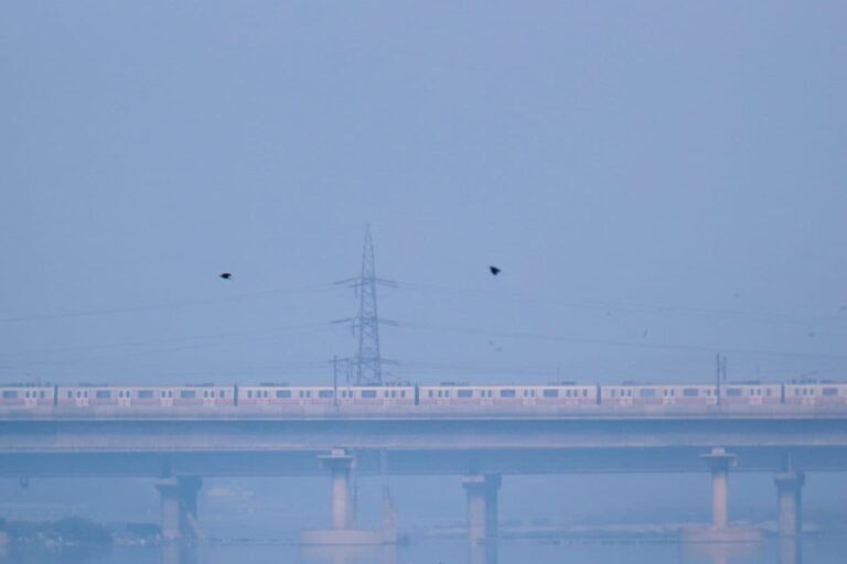 Delhi: Water Levels in Yamuna Rise After Heavy Rains in Catchment Areas