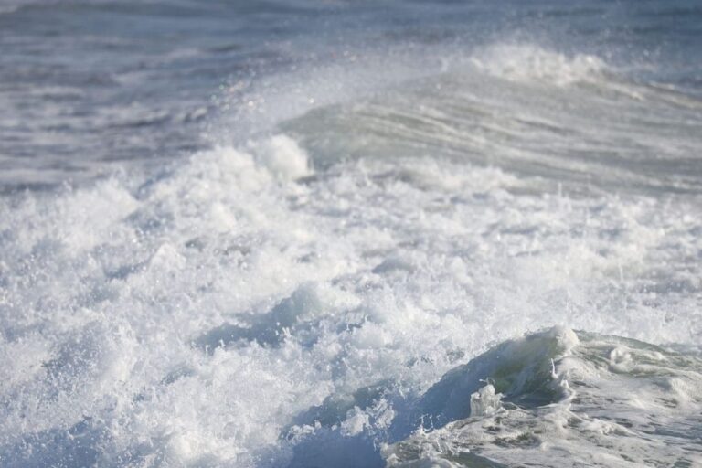 Alaska Earthquake: Three Massive Quakes; Hawaii Under Tsunami Watch | All You Need to Know