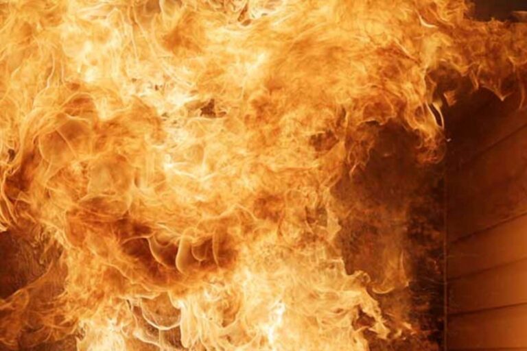 Kerala: Major Fire Breaks Out at Poultry Feed Manufacturing Unit in Palakkad; 30 Injured