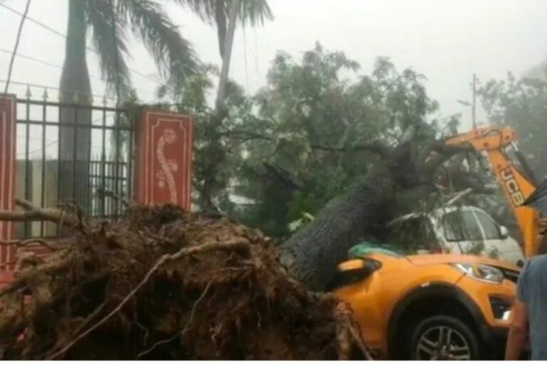 Karauli Receives Record Rainfall as Monsoon Reactivates in Rajasthan