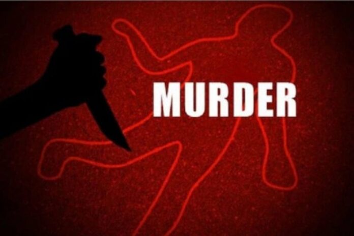 Man Beats 29-Year-Old Wife To Death Near Shimla