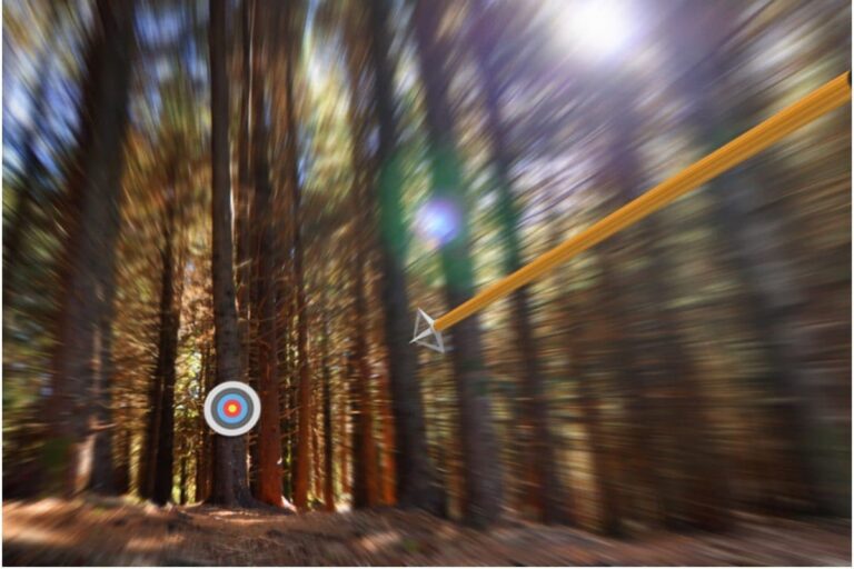 Shillong Lottery Result 2021: Shillong Teer Result for August 31 Games; Here’s How to Check