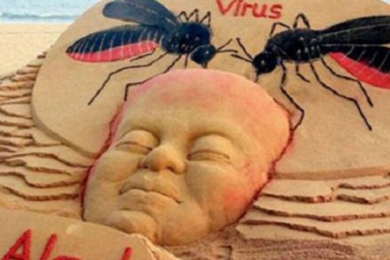 Zika Virus Spreads Wings in Maharashtra, Kerala: Link to Covid-19, Symptoms Explained