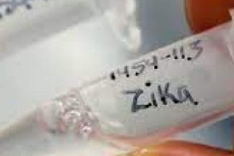 Centre Sends High-level Team to Maharashtra to Monitor Zika Virus Situation