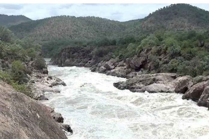 Mekedatu Dam Row: Tamil Nadu BJP President Threatens to Go on Hunger Strike