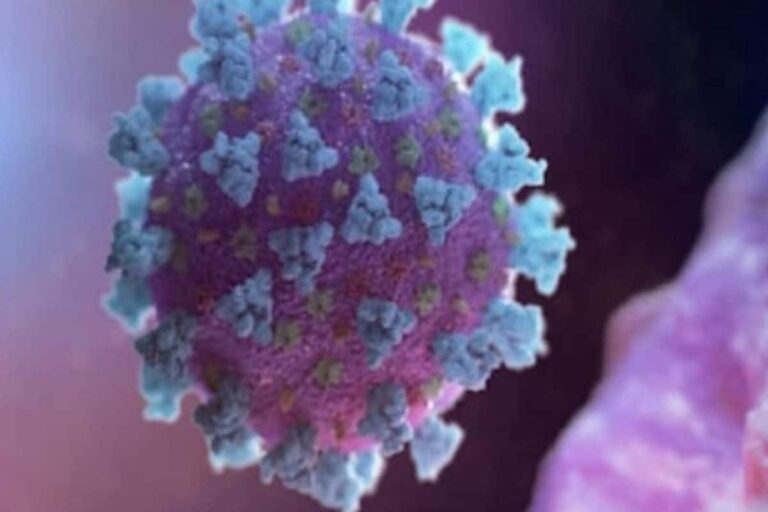 What are ‘Killer’, ‘Helpful’ T Cells that Search & Destroy Coronavirus in Response to Body’s Call of Duty