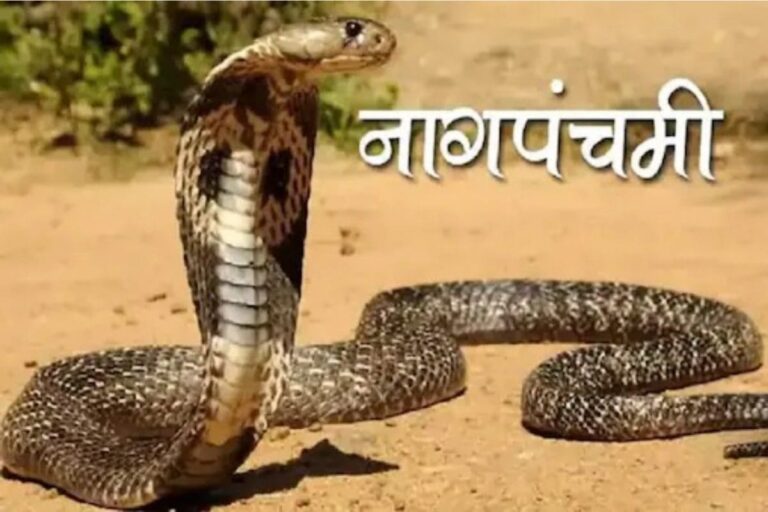 Nag Panchami 2021: Timings and Benefits of Performing The Puja