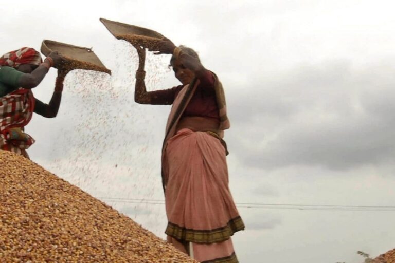 Rapid Pace of Free Ration Distribution in UP, Over 11 Crore Given Foodgrains in 4 Days