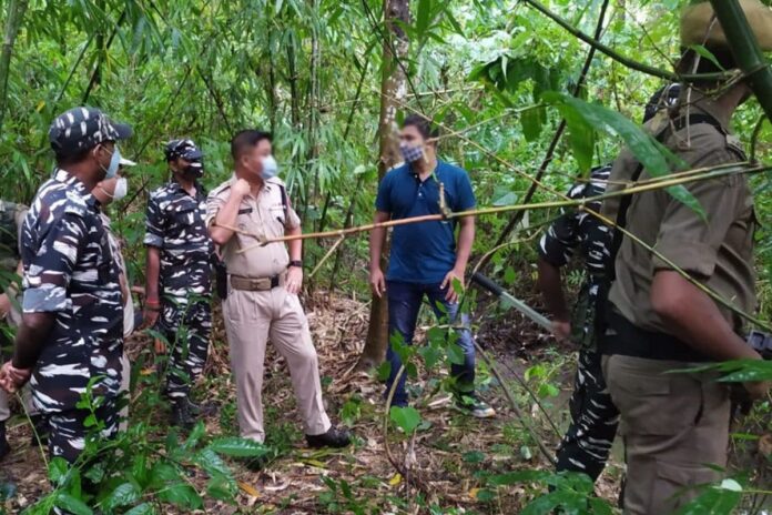 46 NLFB Militants Surrender in Assam in 2 Days: Police