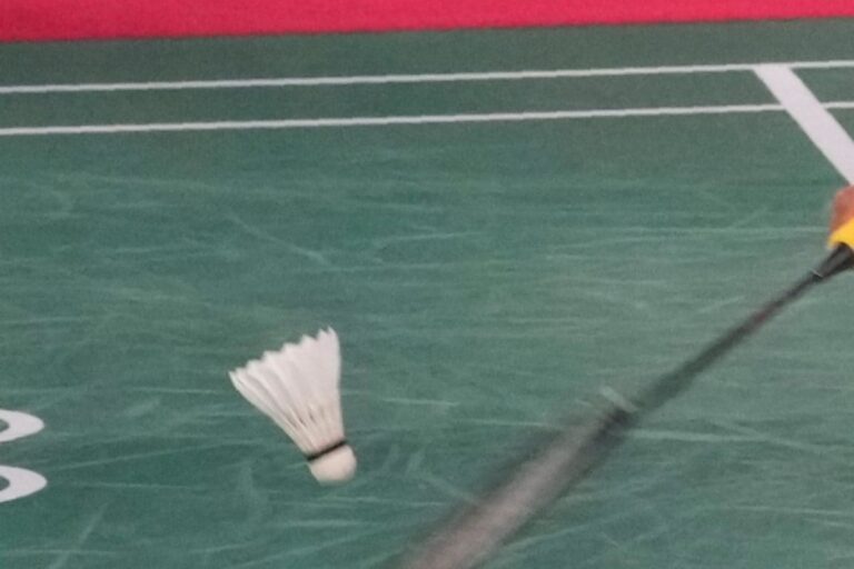 HC Refuses to Interfere With Non-selection of Arjuna Awardee Para Shuttler for Tokyo Games