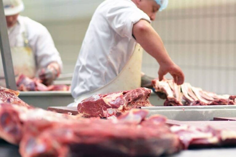 Assam Assembly Passes Cattle Protection Bill Banning Sale of Beef Within 5Km of Temples