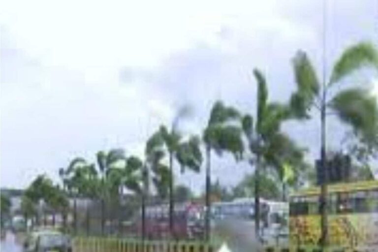 Maha Disburses Rs 846.63 lakh For Cyclone Tauktae Victims in Palghar