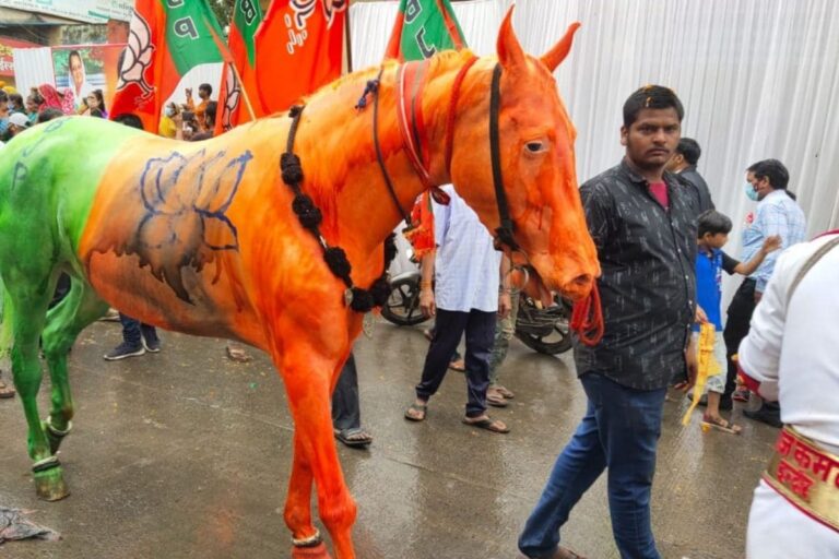 Police Look for Owner of Horse Painted in BJP Colours at Scindia Rally After Animal Cruelty Complaint