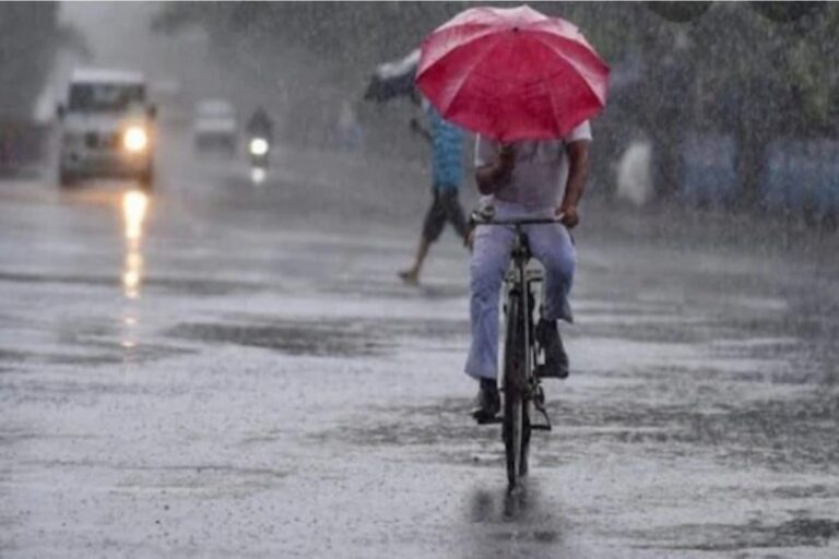 Enhanced Rainfall Activity Over Central, West India Till September 2: IMD