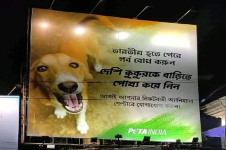 PETA Urges People to Adopt Street Dogs in Bengal’s Durgapur