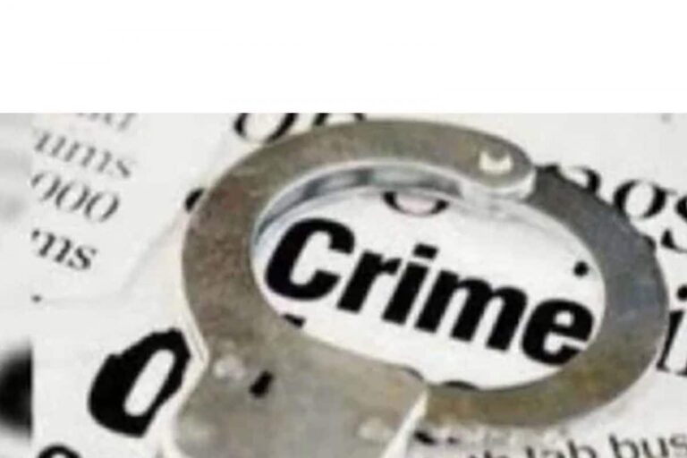 UP Police Arrest 7 Wanted Criminals in Hardoi, Recover Arms, Ammunition