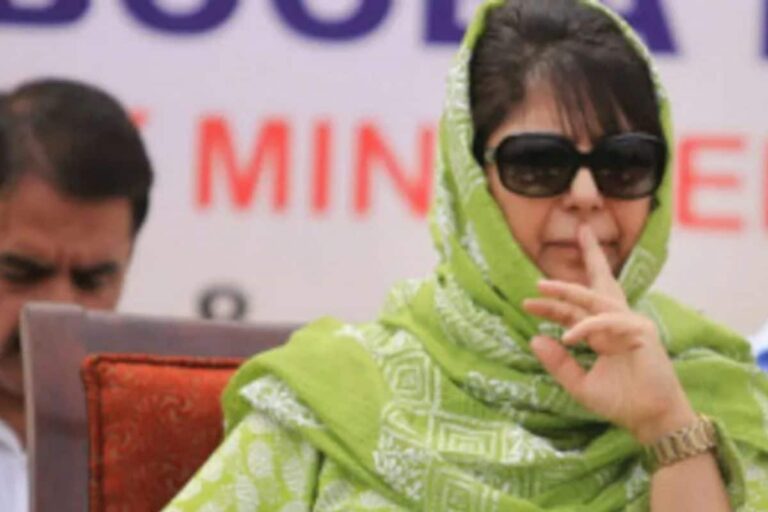 Press Council of India to Probe Harassment of Journalists in Kashmir After Mehbooba Asks it to Verify Claims