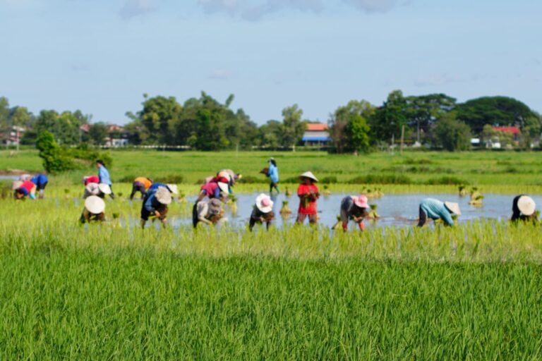 RSS-affiliate Farmers’ Body to Stage Nationwide Dharna Against Agri Laws on September 8