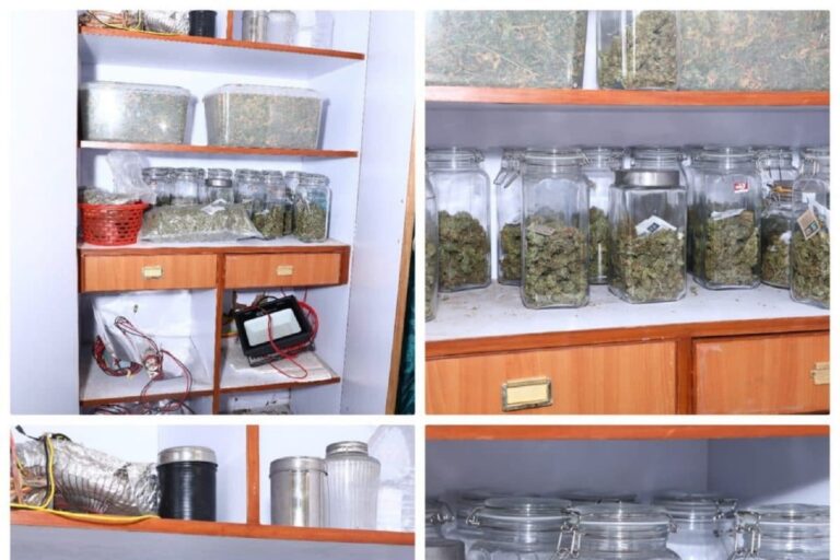 Inspired by Lord Shiva, Bengaluru-based MBA Graduate Supplies Grown-at-Home ‘Hybrid Ganja’ Using LED Lights