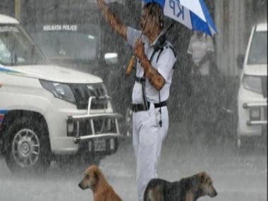 Kolkata traffic cop gives shelter to strays dogs during heavy rain; photo wins hearts on social media