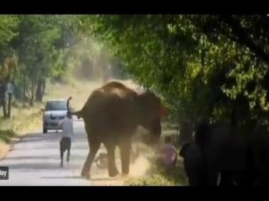 Watch: Angry elephant charges at government bus in Tamil Nadu, shatters windshield of vehicle
