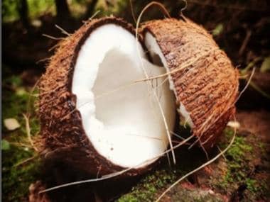 World Coconut Day 2021: Here’s why the world celebrates the occasion