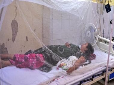 From Dengue to Nipah virus, vector-borne diseases are a major concern for India