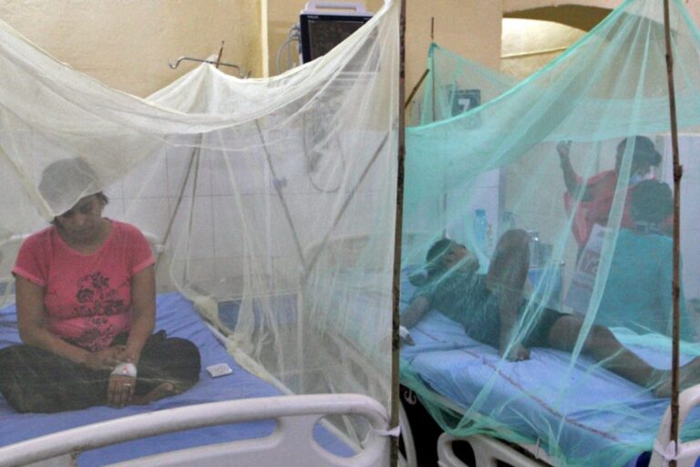 Uttar Pradesh’s Dengue Death Toll Rises To 63; Over 100 Patients Admitted In Last 24 Hours