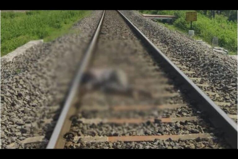Hyderabad Man Accused of Rape, Murder of 6-year-old Found Dead on Rly Tracks After ‘Encounter’ Threat