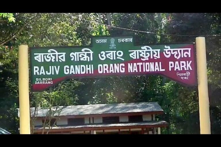 Rajiv Gandhi’s Name to be Dropped from Assam’s Orang National Park to ‘Respect’ Adivasi Sentiments