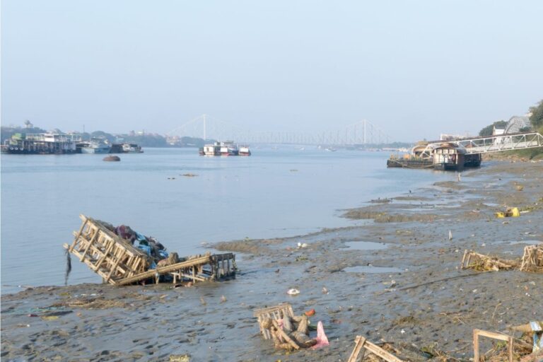 Viral Video Shows Dogs Gnawing at Dead Body on Ganga Bank in UP’s Ballia