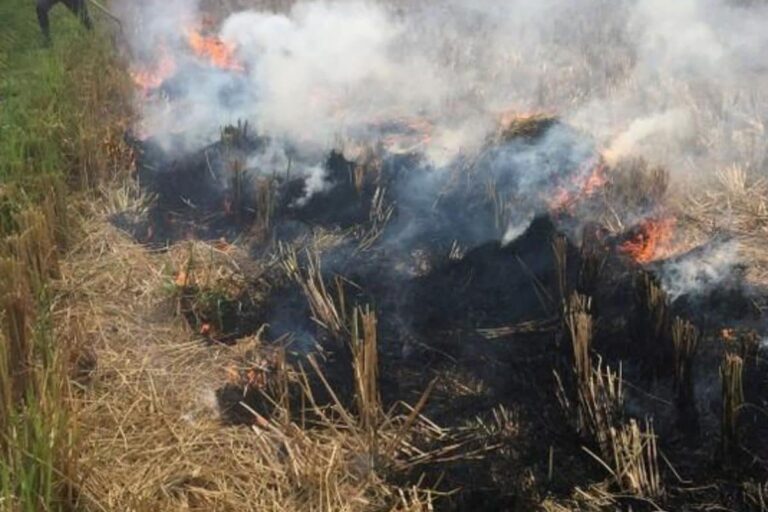 Stubble Burning: Kejriwal Charges Neighbouring States of Not Taking Action to Support Farmers