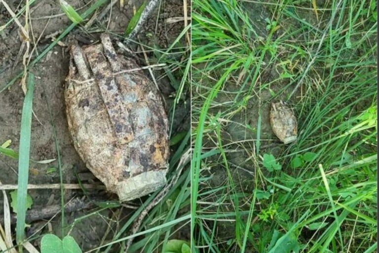 Old, Rusted Hand Grenade Found in Agra’s Jaitpur Village, Police Reach Spot